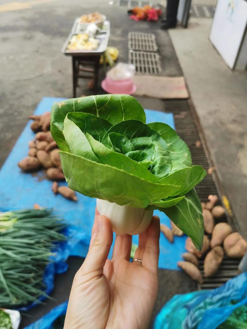 如果农村的集市被取消了，会成立农贸市场吗菜贩失业刚出来复工！为什么农民工又返乡了？是生存不下去了吗